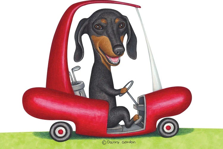 Black Dachshund in Golf Cart