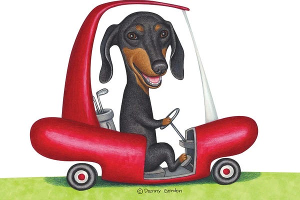 Golf: Black Dachshund in Golf Cart by Danny Gordon