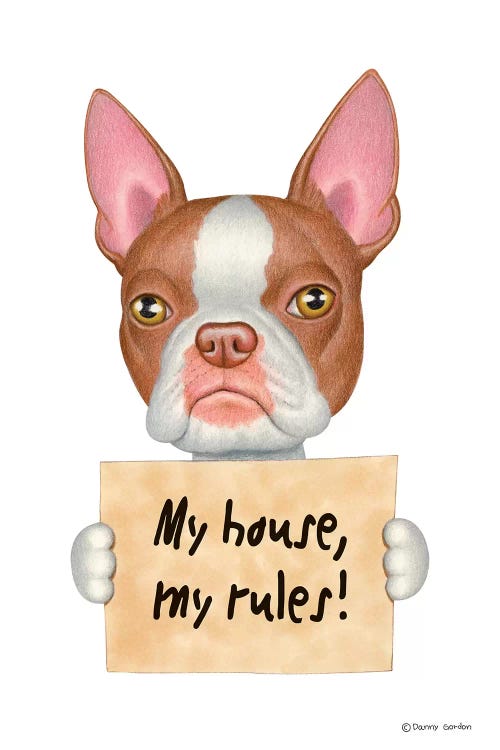 Boston Terrier My House by Danny Gordon wall art