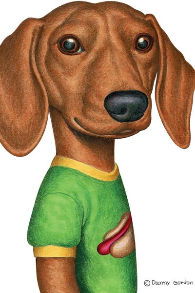 Dachshund In Green T-Shirt by Danny Gordon framed canvas print