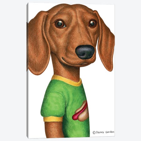 Dachshund In Green T-Shirt Canvas Print #DNG160} by Danny Gordon Canvas Art