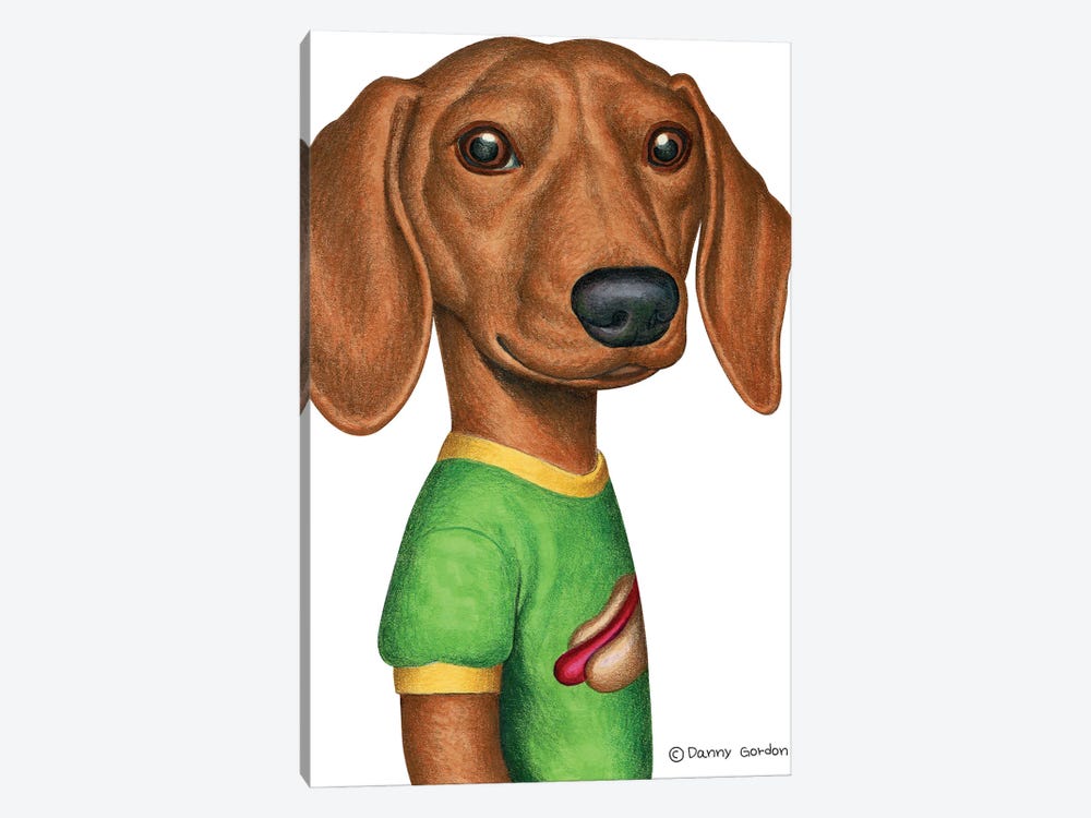 Dachshund In Green T-Shirt by Danny Gordon 1-piece Canvas Print