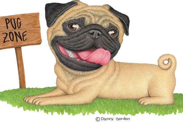 Pugs: Pug On Grass by Danny Gordon