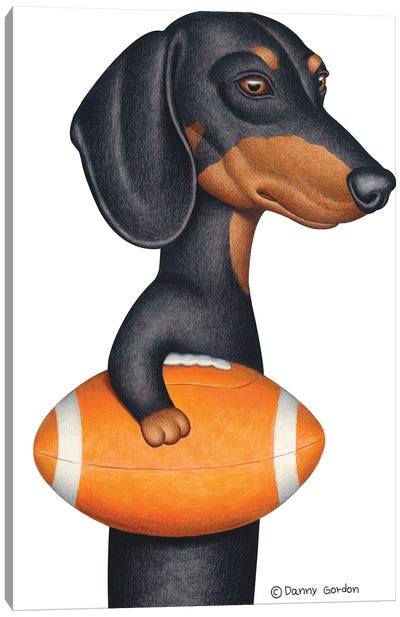 Black Dachshund Holding Orange Football Canvas Art Print - Danny Gordon