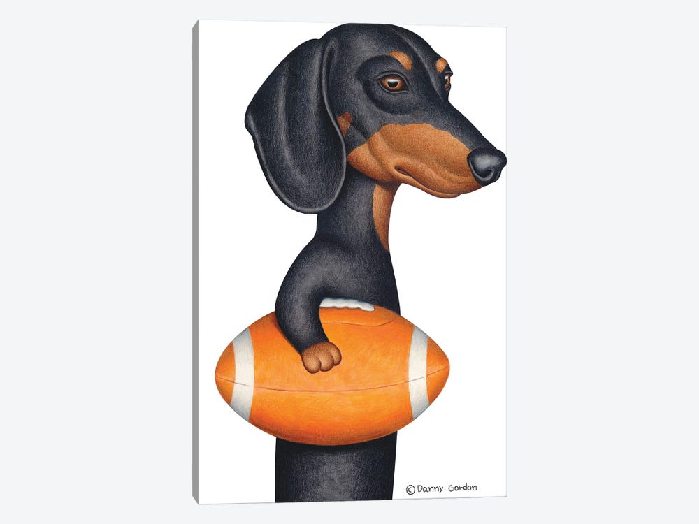 Black Dachshund Holding Orange Football by Danny Gordon 1-piece Canvas Print