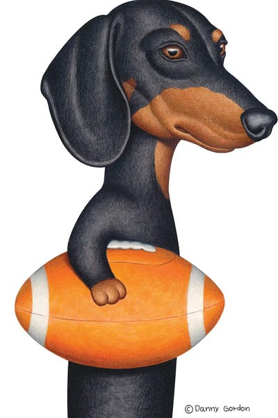 Black Dachshund Holding Orange Football