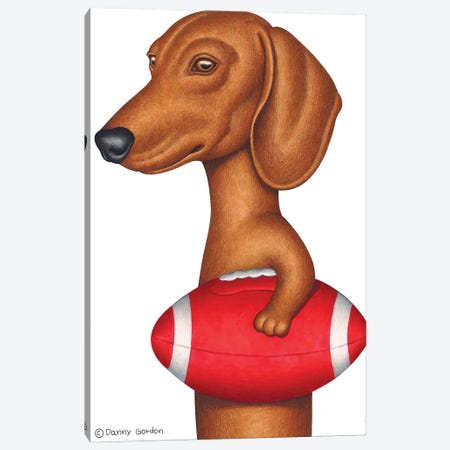 Dachshund Holding Football Canvas Print #DNG163} by Danny Gordon Canvas Art