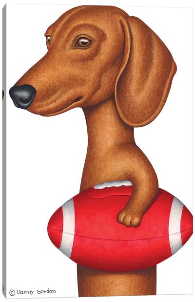 Dachshund Holding Football Canvas Art Print - Danny Gordon