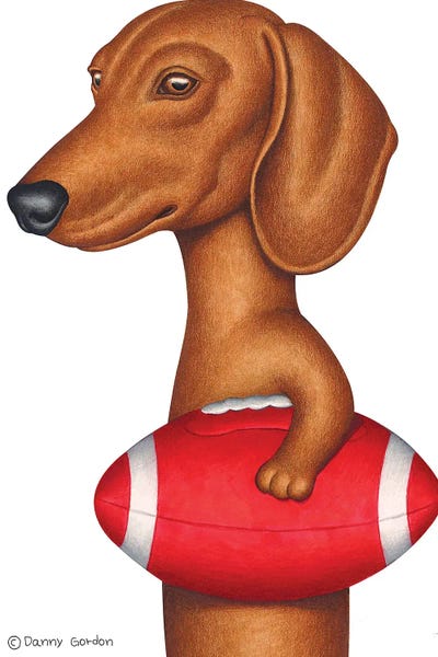 Kids Sports Art: Dachshund Holding Football by Danny Gordon