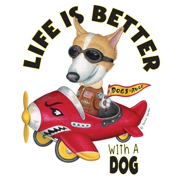 Corgis: Corgi In A Plane With Words by Danny Gordon