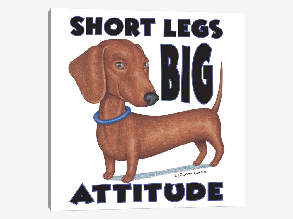 Dachshund With Blue Collar With Words by Danny Gordon 1-piece Canvas Artwork