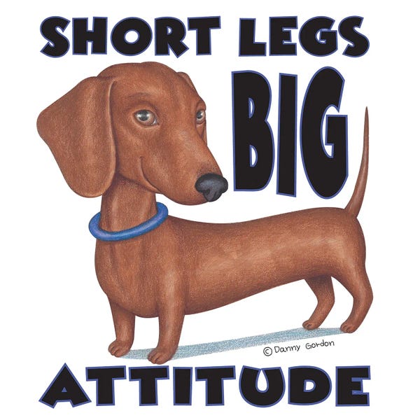Dachshunds: Dachshund With Blue Collar With Words by Danny Gordon