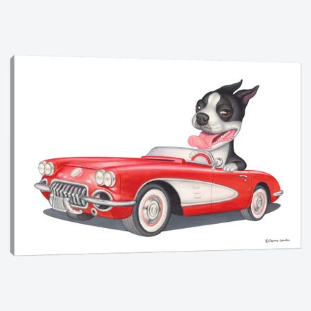 Boston Terrier Red Car Canvas Print #DNG16} by Danny Gordon Canvas Print