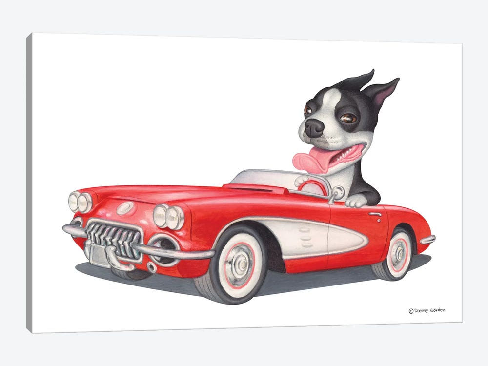 Boston Terrier Red Car by Danny Gordon 1-piece Canvas Wall Art