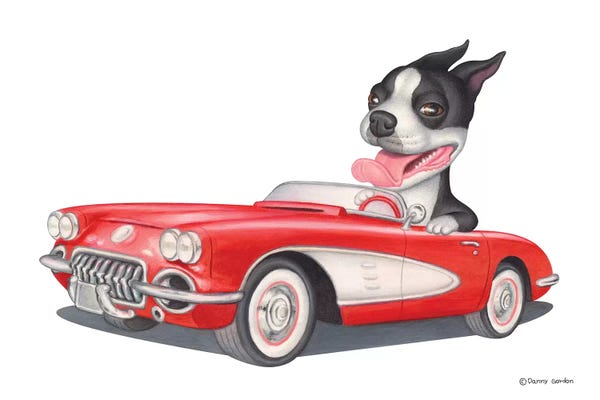 Boston Terriers: Boston Terrier Red Car by Danny Gordon