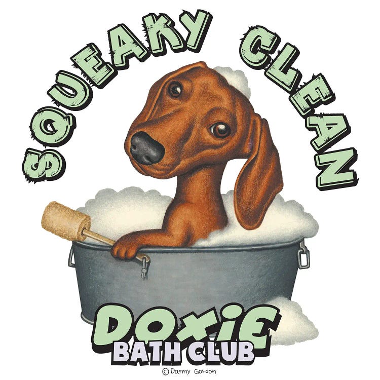 Dachshund Squeaky Clean