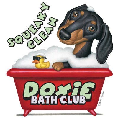 Black Dachshund Squeaky Clean by Danny Gordon metal wall art