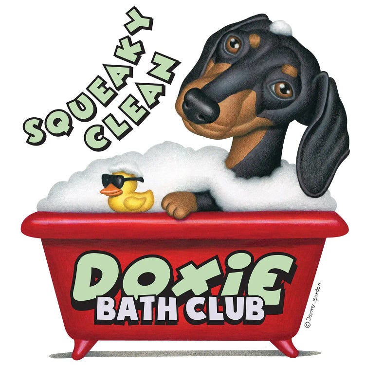 Black Dachshund Squeaky Clean