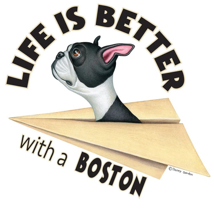 Boston Terrier Plane Life is Better by Danny Gordon wall art