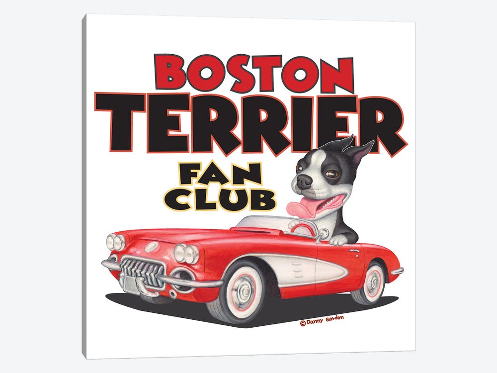 Boston Terrier Corvette Fan Club by Danny Gordon 1-piece Canvas Print