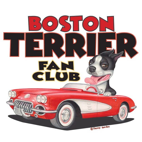 Terriers: Boston Terrier Corvette Fan Club by Danny Gordon