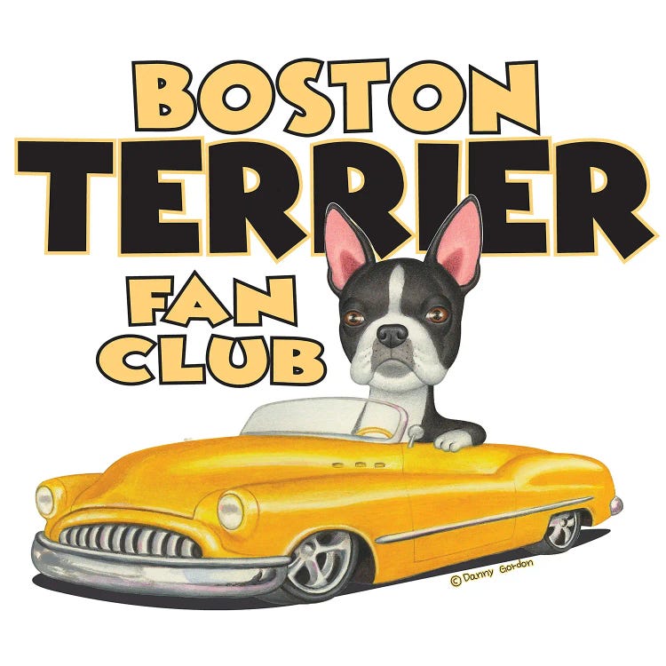Boston terrier Yellow Car Fan Club by Danny Gordon wall art