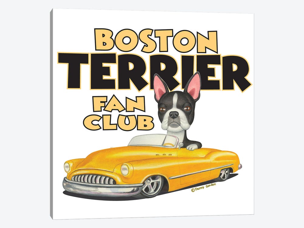 Boston terrier Yellow Car Fan Club by Danny Gordon 1-piece Canvas Artwork