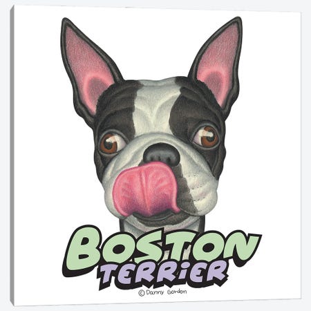 Boston Terrier Licking Lips Canvas Print #DNG184} by Danny Gordon Art Print