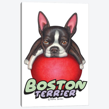Boston Terrier Red Ball Canvas Print #DNG185} by Danny Gordon Canvas Art Print