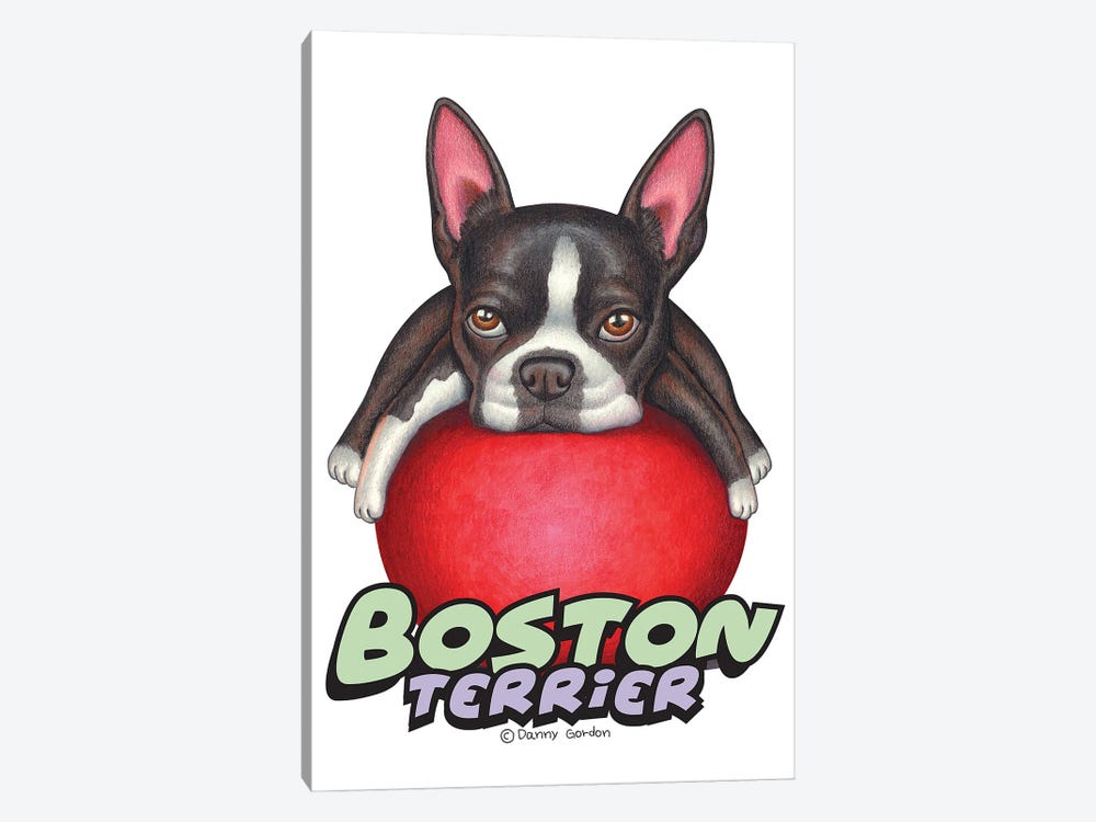 Boston Terrier Red Ball by Danny Gordon 1-piece Canvas Wall Art