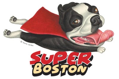 Boston Terrier Flying in Red Cape by Danny Gordon acrylic art print