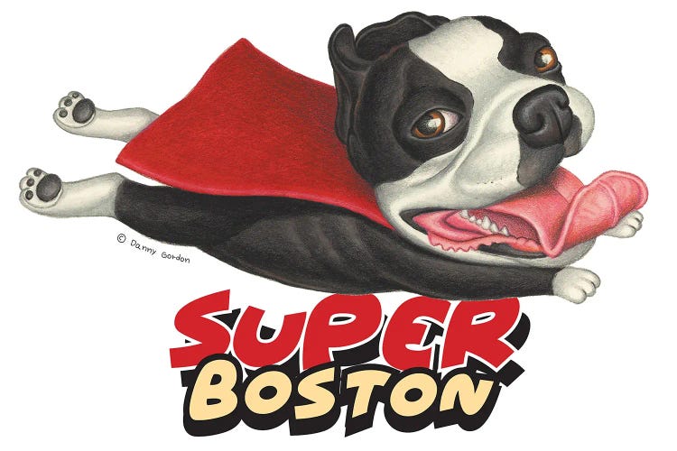 Boston Terrier Flying in Red Cape