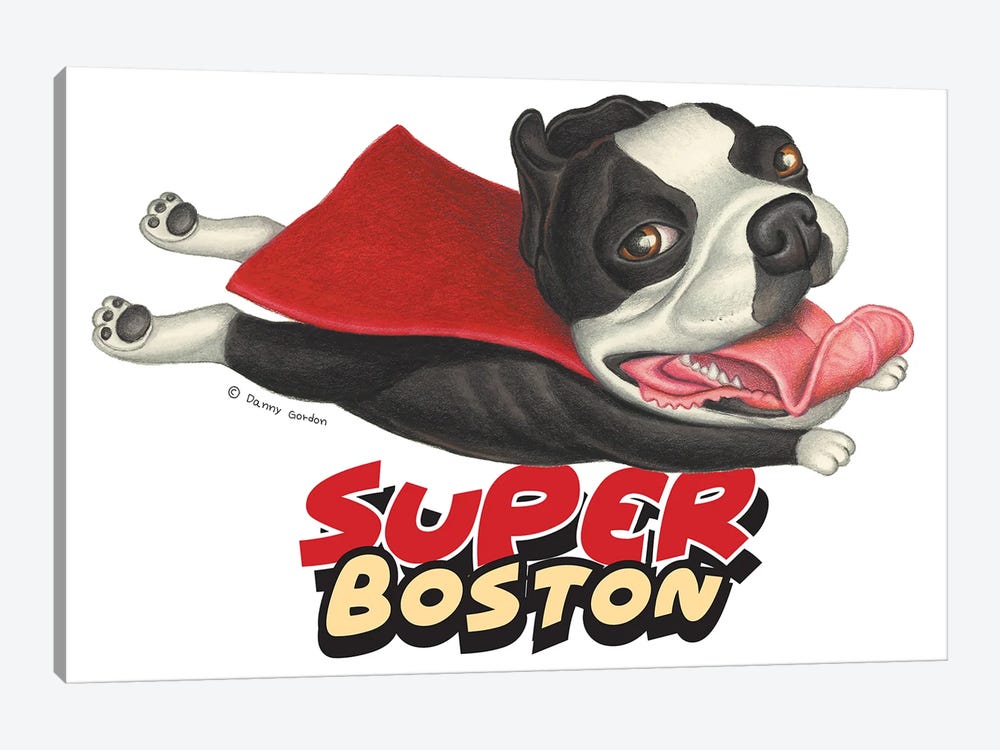 Boston Terrier Flying in Red Cape by Danny Gordon 1-piece Canvas Print