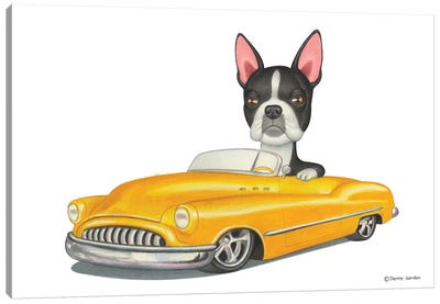 Boston Terrier Yellow Car Canvas Art Print - Danny Gordon