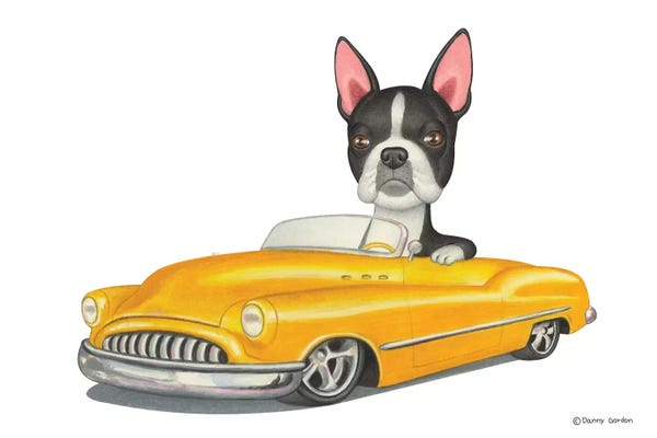 Boston Terriers: Boston Terrier Yellow Car by Danny Gordon