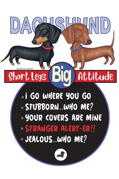 Dachshunds: 2 Dachshunds Standing by Danny Gordon