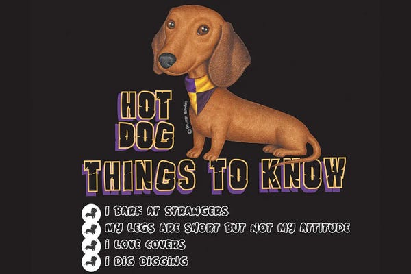 Dachshunds: Dachshund Seated With Hankerchief by Danny Gordon