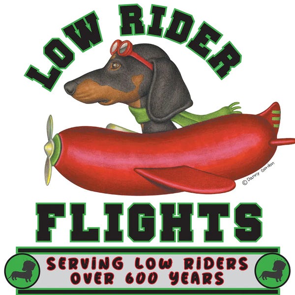 Dachshunds: Black Dachshund In Sausage Plane by Danny Gordon