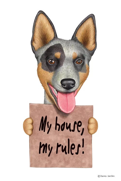 Australian Cattle Dog by Danny Gordon wall art