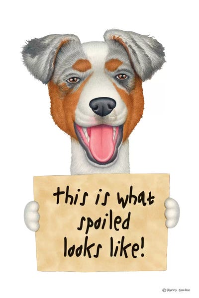 Australian Shepherd by Danny Gordon framed wall art