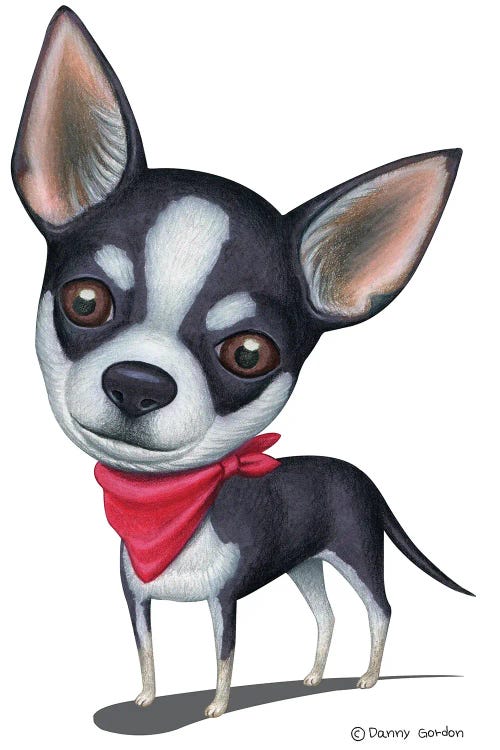 Black And White Chihuahua Red Bandana