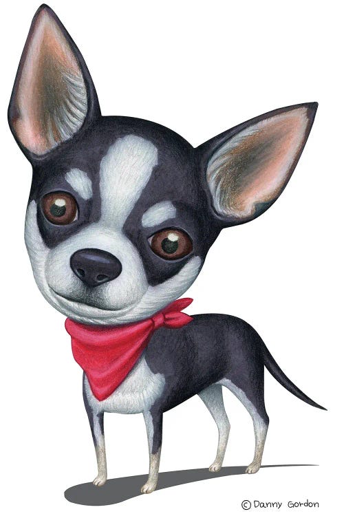 Black And White Chihuahua Red Bandana by Danny Gordon wall art