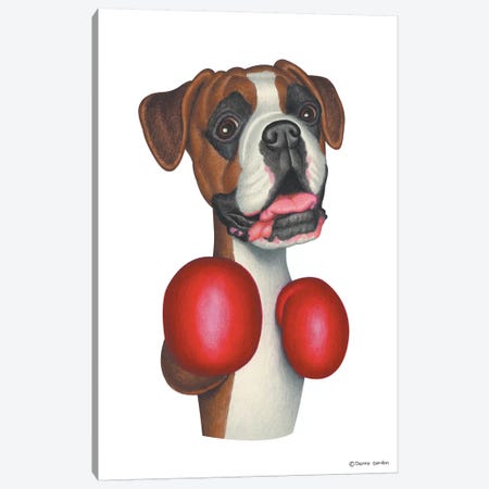 Boxer Boxing Canvas Print #DNG20} by Danny Gordon Canvas Art Print
