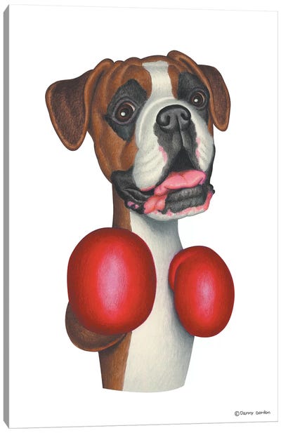 Boxer Boxing Canvas Art Print - Danny Gordon