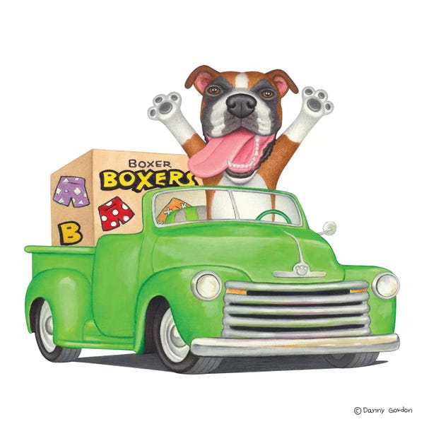 Boxers: Boxer Green Pickup by Danny Gordon