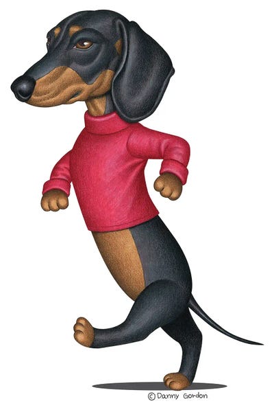Dachshunds: Black Dachshund Walking by Danny Gordon