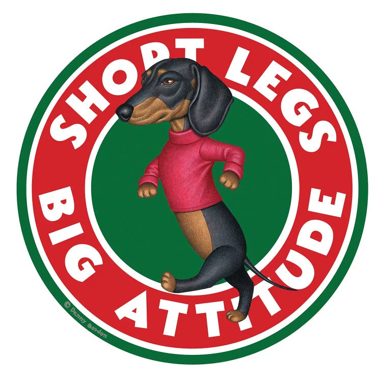 Black Dachshund Walking Circle by Danny Gordon wall art