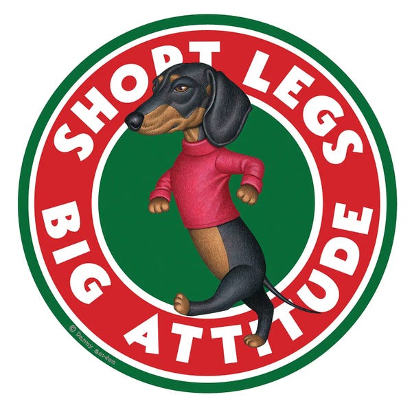 Dachshunds: Black Dachshund Walking Circle by Danny Gordon