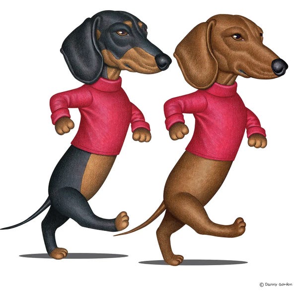 Dachshunds: Two Dachshunds Walking Fast by Danny Gordon