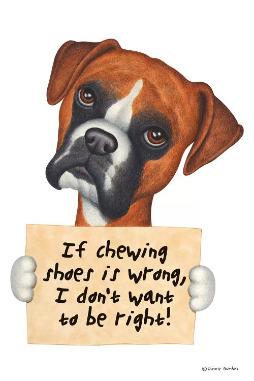 Boxer I Don't Want To Be Right by Danny Gordon wall art